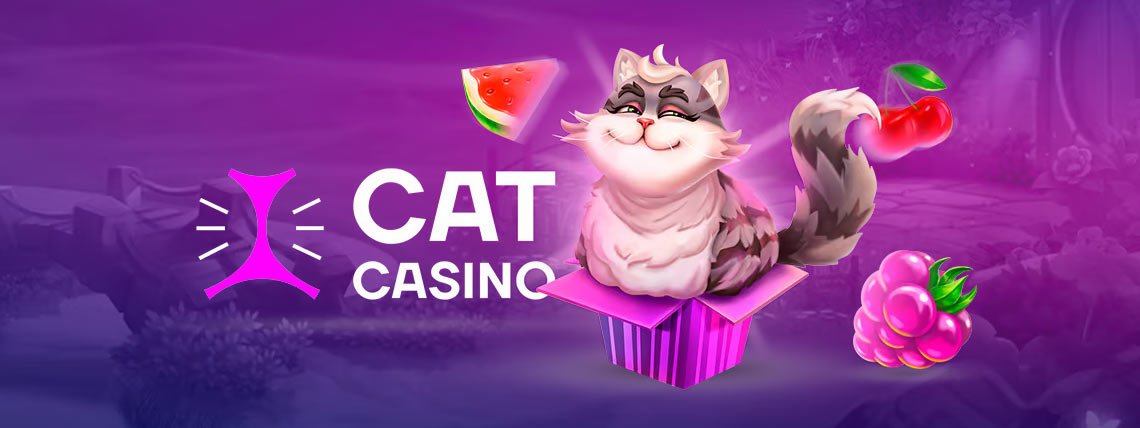 cat casino free exclusive